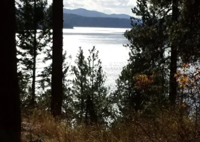 Scenery