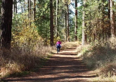Lots of wide, accessible trails on Tubbs Hill
